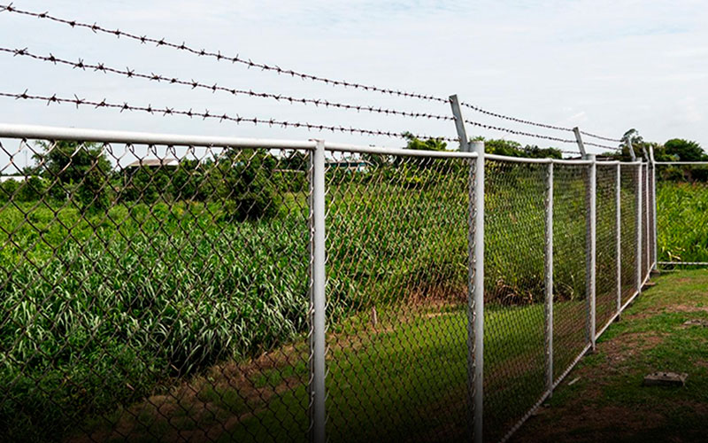 Wire Fencing